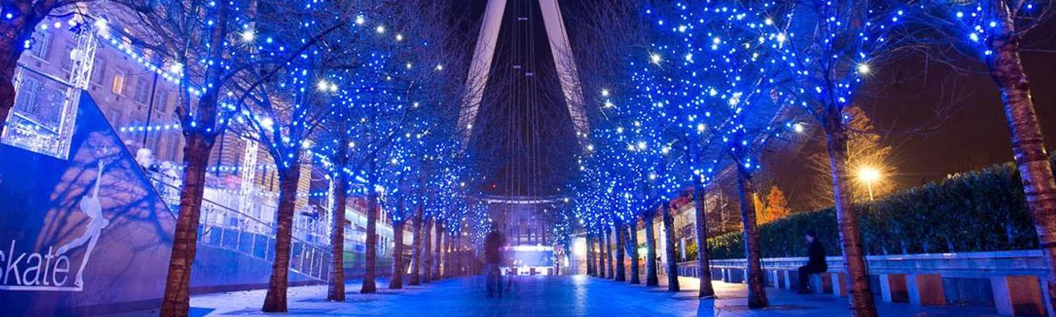 The image portrays a magical winter night scene. A pathway lined with trees adorned in twinkling blue lights leads to a large illuminated structure, creating a serene and enchanting atmosphere. 