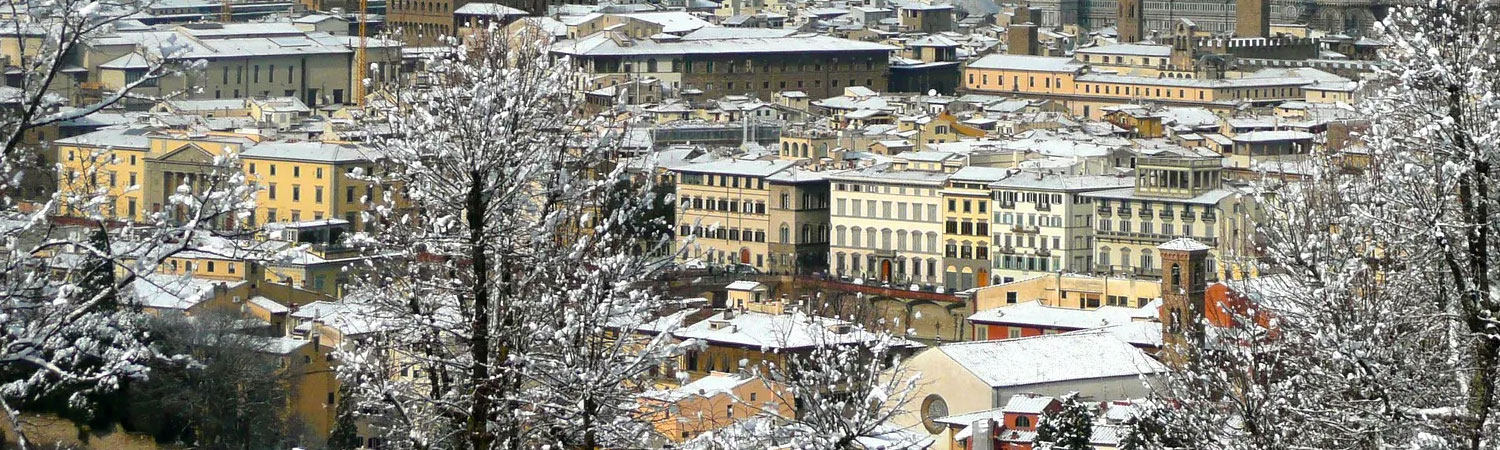 Panoramic view of a cityscape during winter, with buildings and trees beautifully blanketed in white snow.
