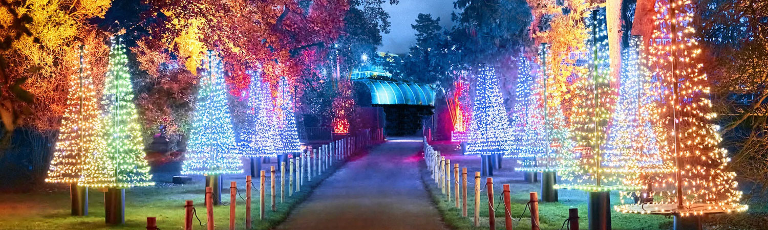 A magical night scene of a pathway lined with trees adorned in colorful twinkling lights, leading to an illuminated archway, creating a festive and enchanting atmosphere