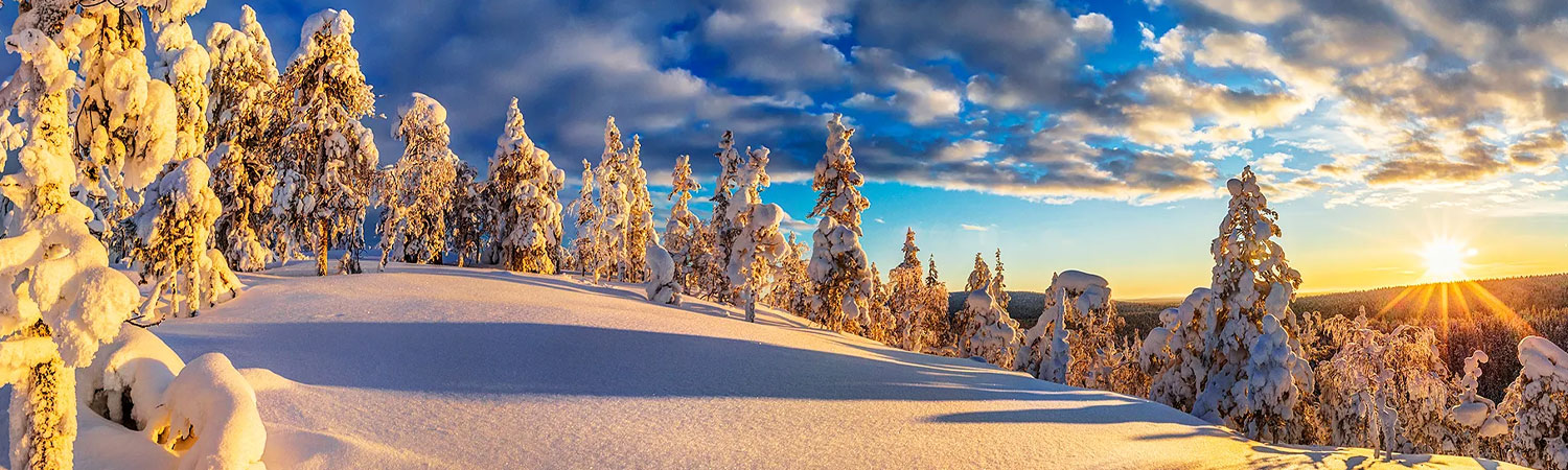 Breathtaking snowy landscape at sunset, with snow-covered trees, undisturbed snow on the ground, and a vibrant sky with fluffy clouds.