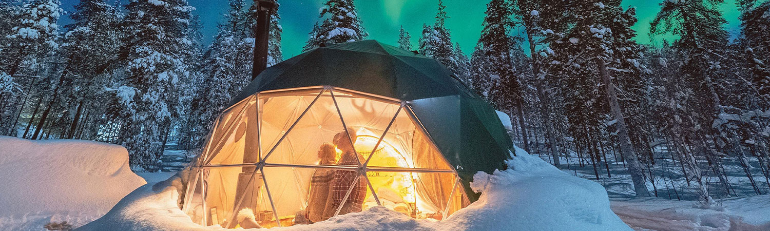 Person inside a warm, illuminated geodesic dome tent surrounded by snow-covered trees under the northern lights.