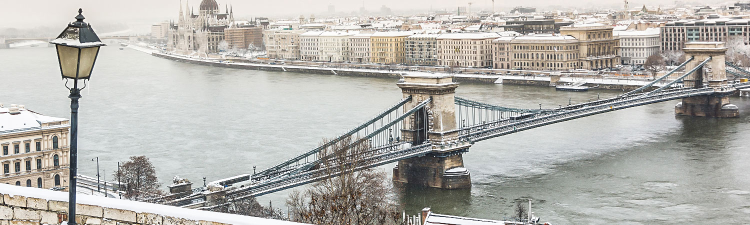 A panoramic view of a snow-covered cityscape featuring an iconic bridge spanning a tranquil river, with historic architecture lining the banks, under a cloudy sky - a picturesque scene for travel and tourism.