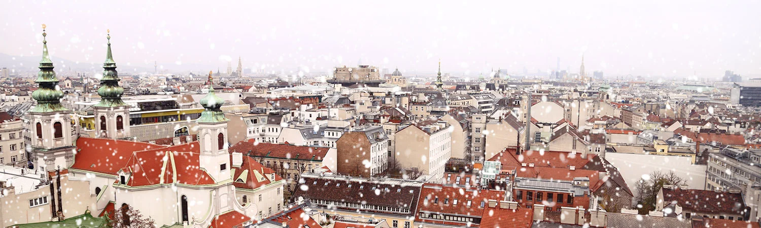 A panoramic view of Vienna, Austria, showcasing the city’s iconic architecture under a gentle snowfall. The spires of St. Stephen’s Cathedral and the intricate designs of historic buildings stand out against the serene winter landscape.