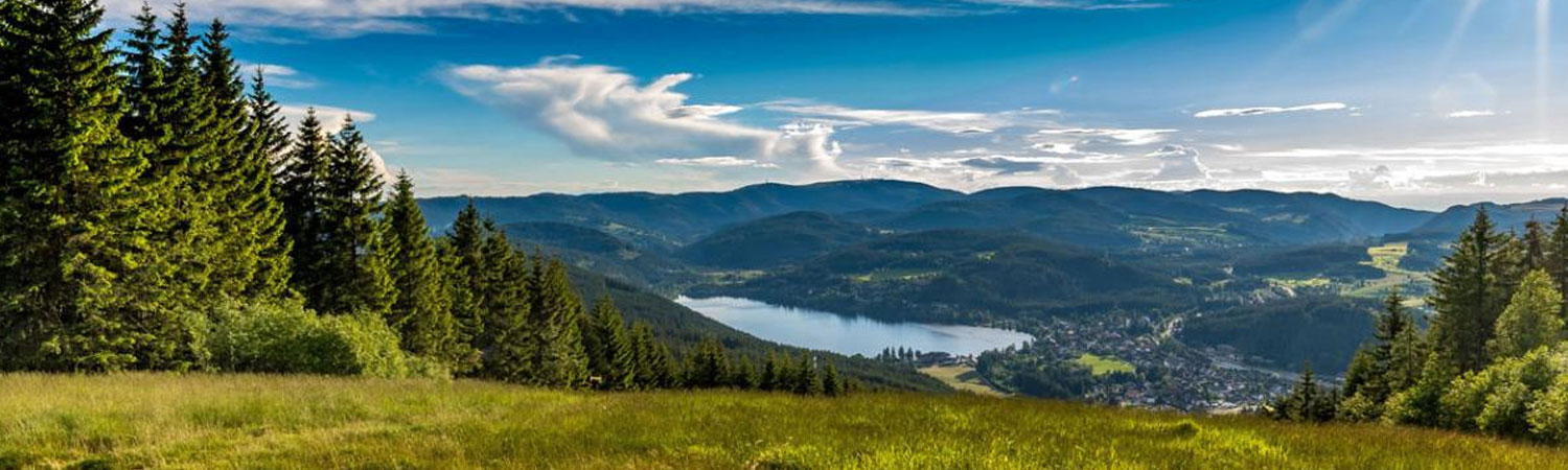 The image captures a breathtaking panoramic view of a serene lake surrounded by lush green forests and majestic mountains.