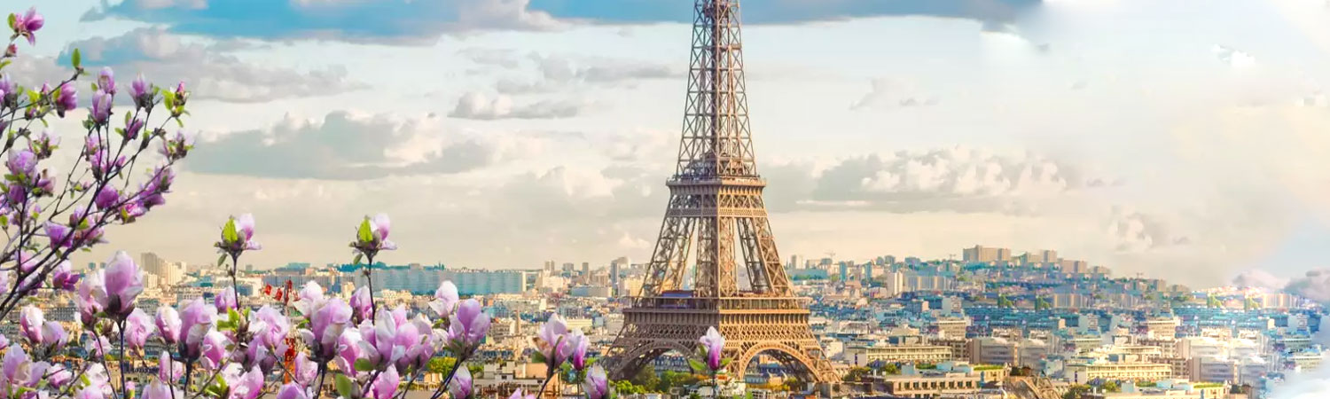 A breathtaking view of Paris, with the iconic Eiffel Tower as the central focus. The Eiffel Tower stands tall and majestic, its intricate iron lattice structure detailed and prominent. 