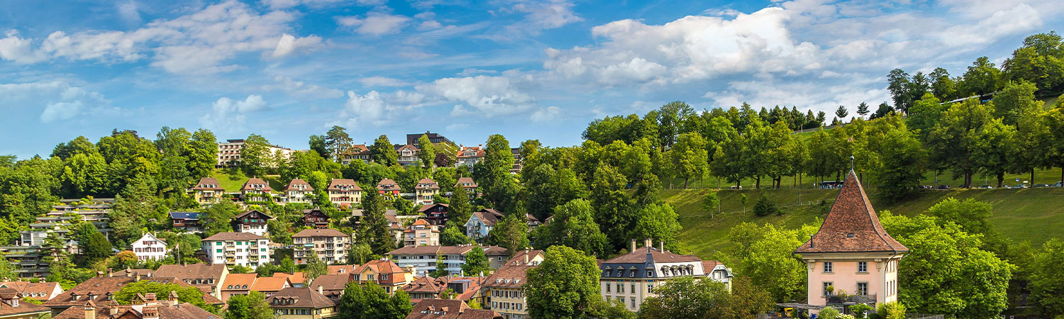 Panoramic view of a picturesque European village with multi-story buildings nestled among lush green trees, under a bright blue sky with scattered clouds