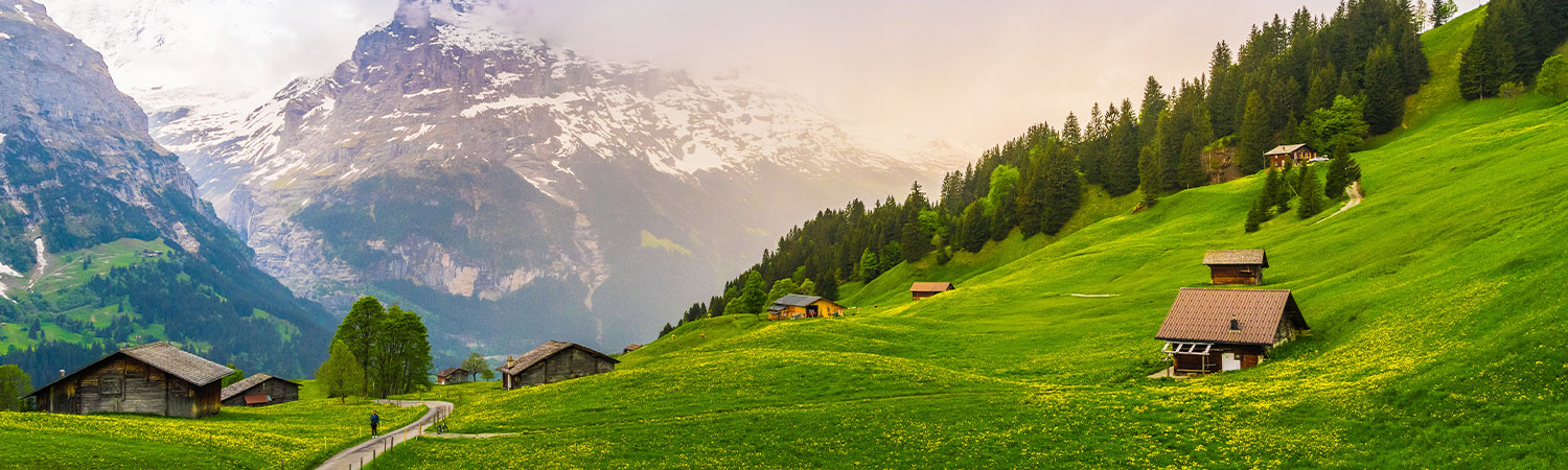 Panoramic view of a lush green alpine meadow with traditional wooden chalets, a winding path, and majestic snow-capped mountains in the background