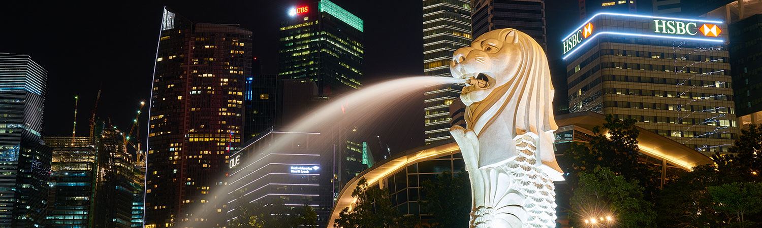 Night view of Merlion statue and Singapore skyline with corporate buildings