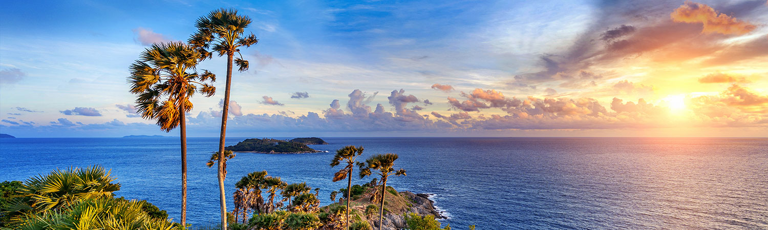 Breathtaking view of a tropical sunset over the ocean at Promthep Cape, Phuket, with silhouettes of palm trees and lush greenery on a cliff, showcasing nature’s beauty.
