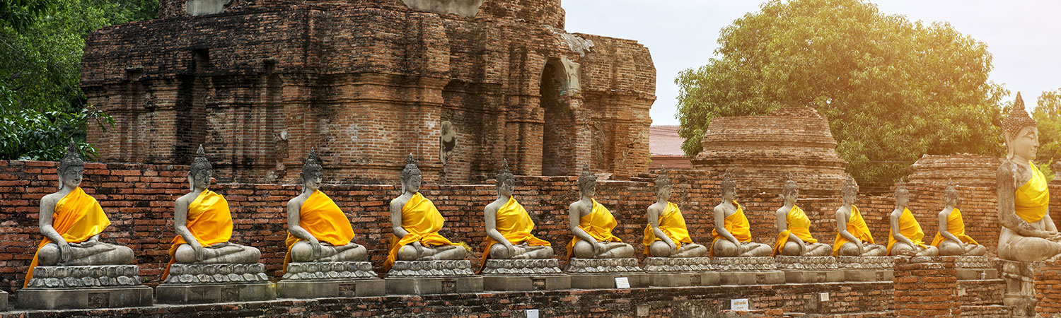 A panoramic view of ancient stone Buddha statues draped in bright yellow robes, aligned in a row at a historic temple ruin surrounded by lush greenery.