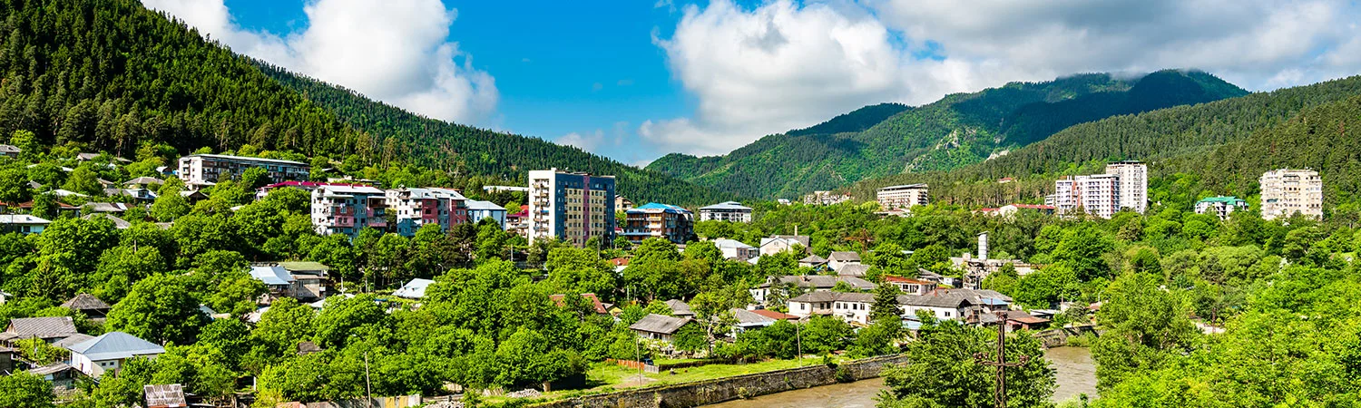 A panoramic view of a vibrant green valley with a mix of modern and traditional buildings, surrounded by lush forested mountains under a blue sky with fluffy white clouds.