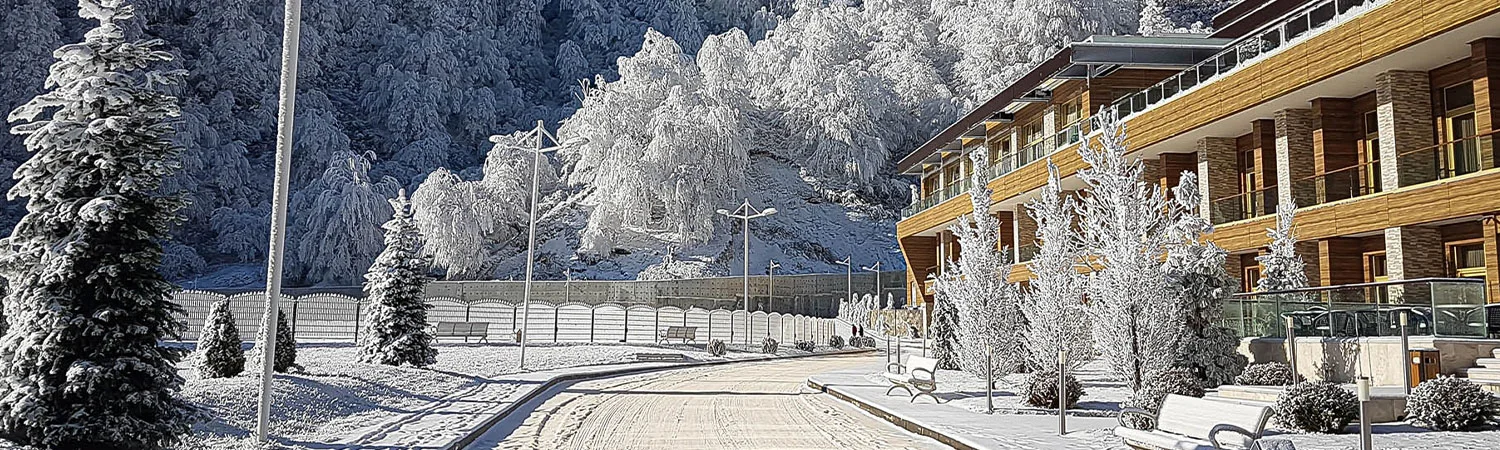 A serene winter scene showcasing a modern wooden building adjacent to a snow-covered path, surrounded by frosty trees under the bright sky.