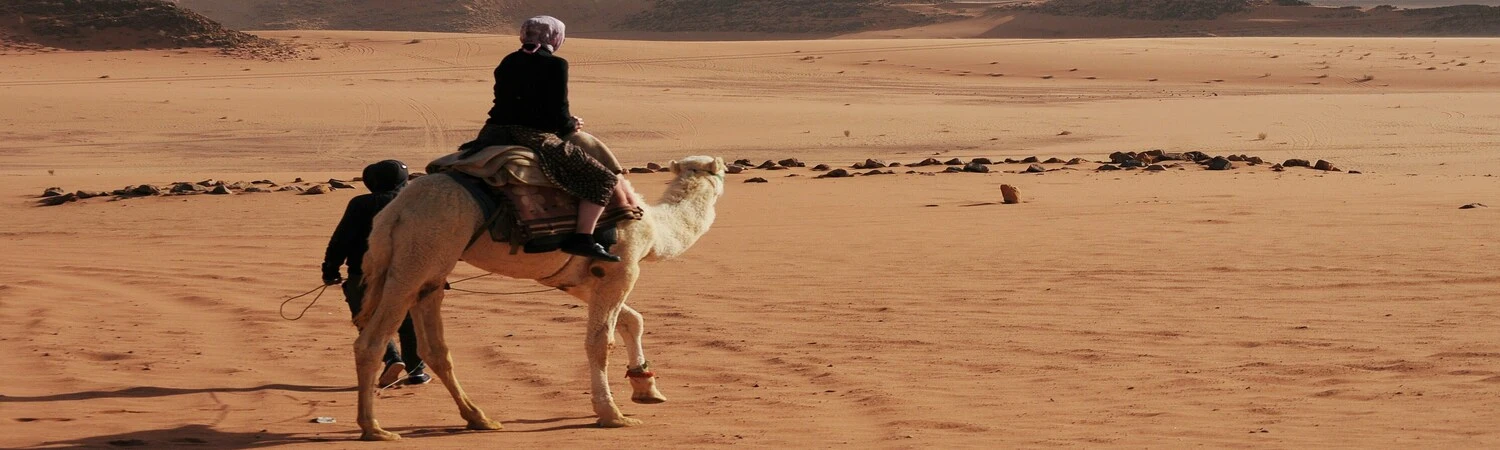 man in camel top in jordan